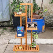 kệ để cây gỗ tự nhiên 3 tầng hình cây