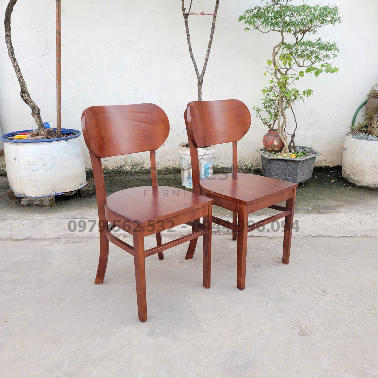 Ghế ăn Butter lưng cong gỗ tự nhiên